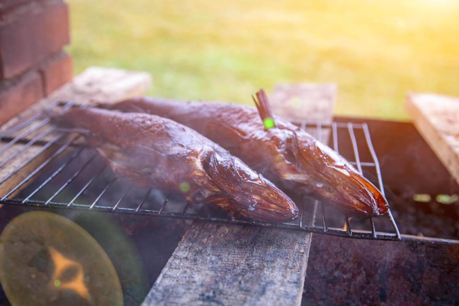grill z wędzarnią
